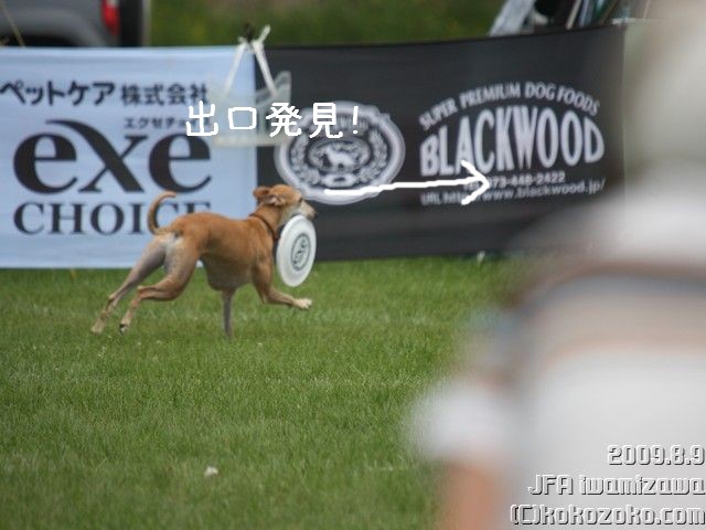 煌月にやられたJFA in 北海道岩見沢大会_b0124595_12334966.jpg