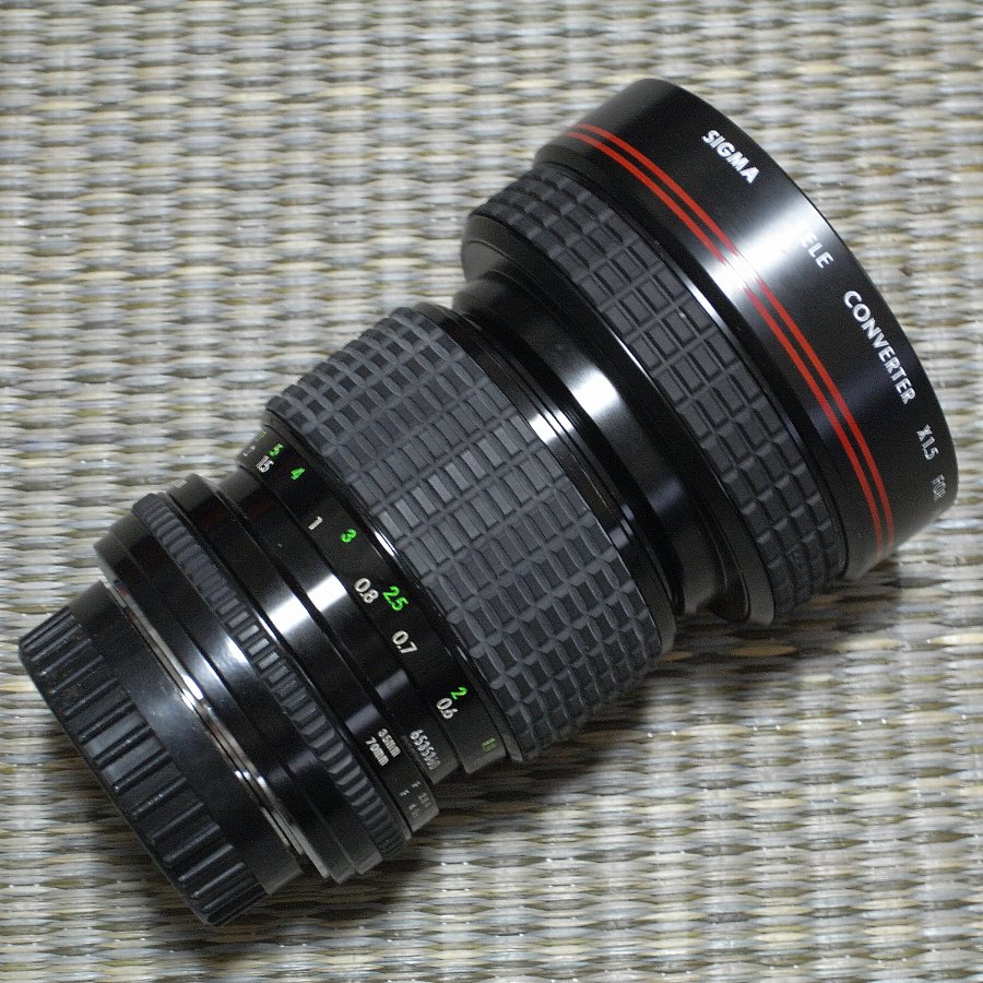 c0124795_1334166.jpg