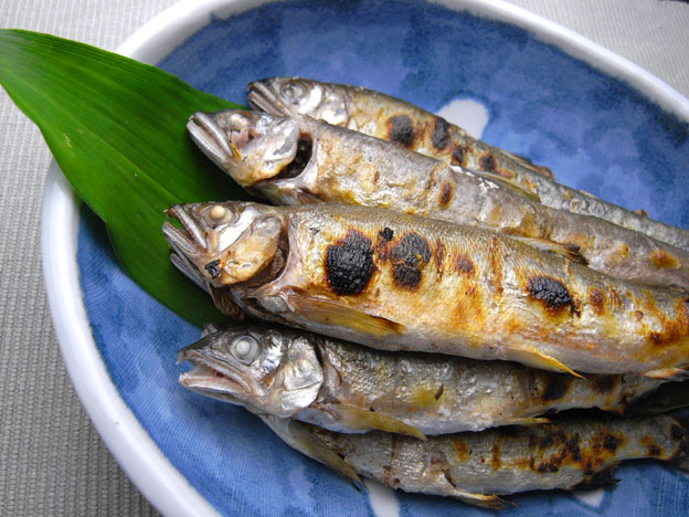 お盆も SAKANA食堂_a0102098_912386.jpg