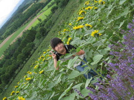 富良野の花畑_c0172698_20192912.jpg