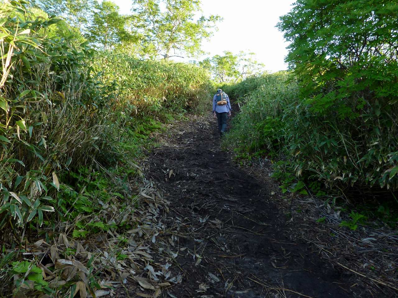 遙かなる山 トムラウシ 山好き的日々 京都北山