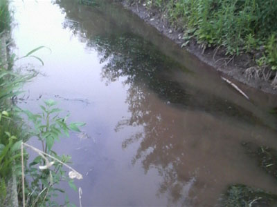 f0082402_10532257.jpg
