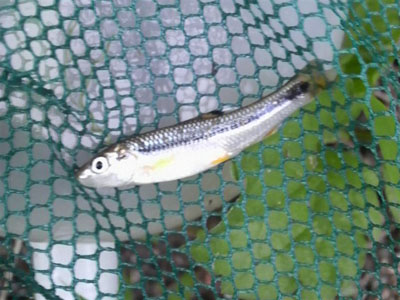 f0082402_1104583.jpg