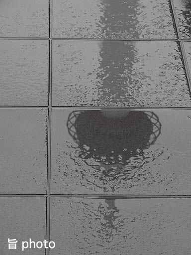 b0061004_10255786.jpg