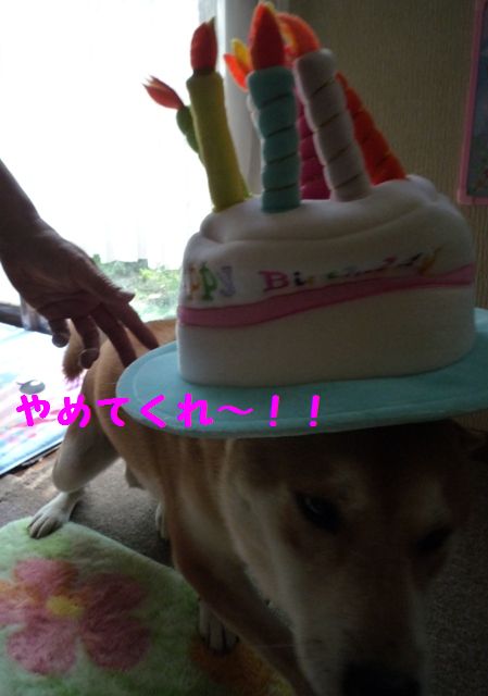 e0018604_19264079.jpg