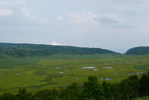 c0153411_21295167.jpg