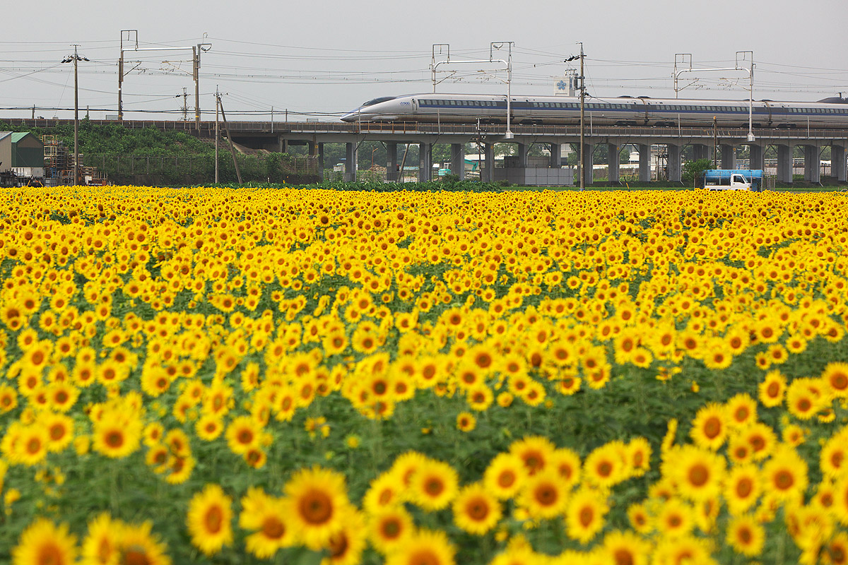 c0115616_20111594.jpg