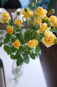 c0111017_2102938.jpg