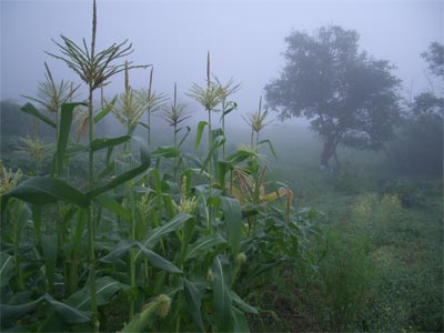 b0034422_23302672.jpg