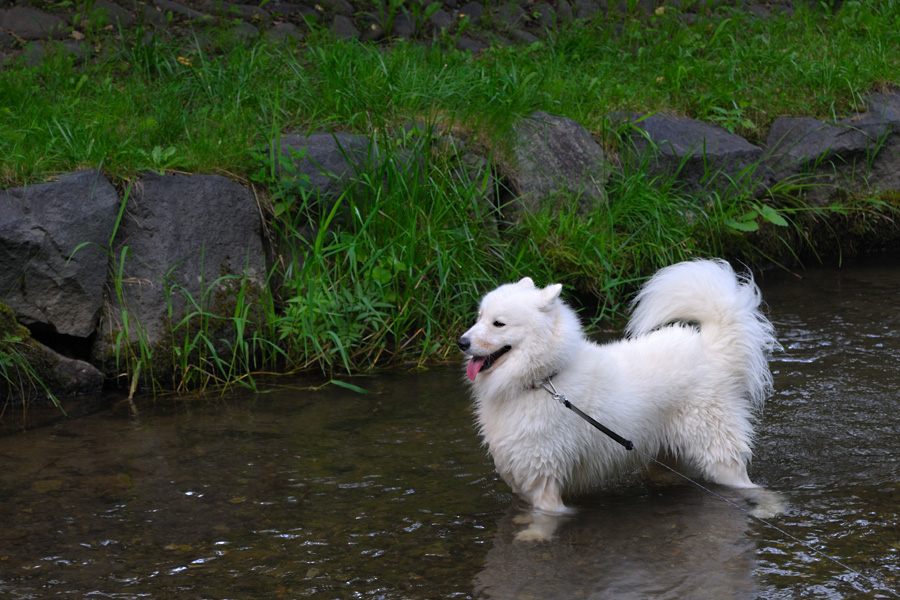 すずらん公園_b0146024_156721.jpg