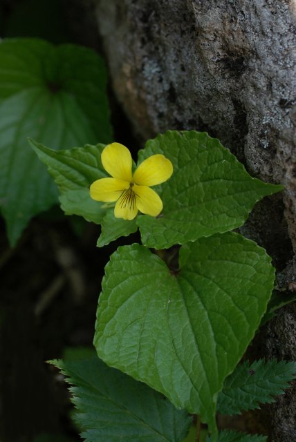 c0027027_23594996.jpg