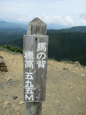 アポイ登山_e0064128_128588.jpg