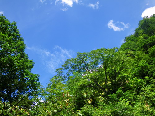 c0090530_9264037.jpg