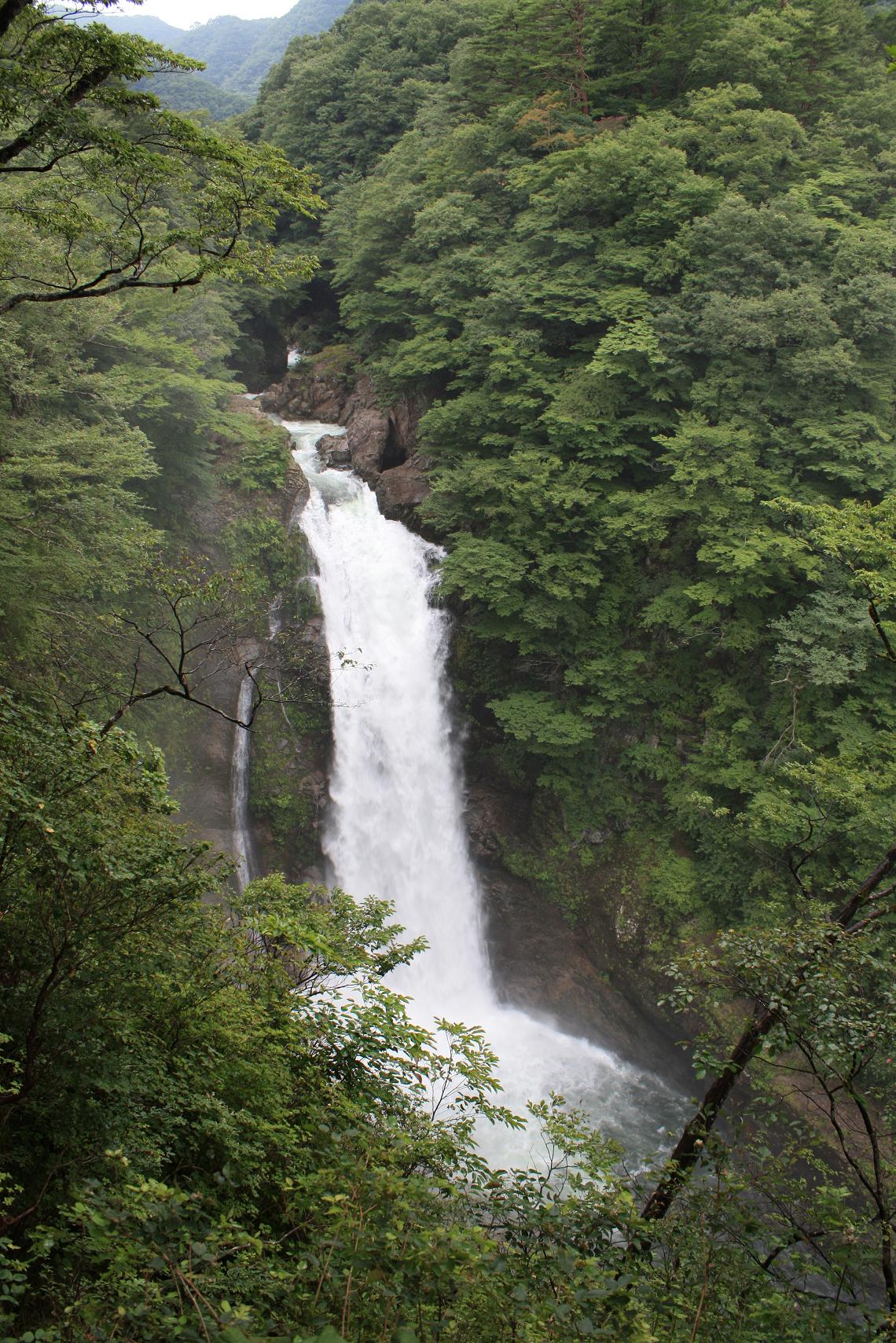 a0123331_231989.jpg