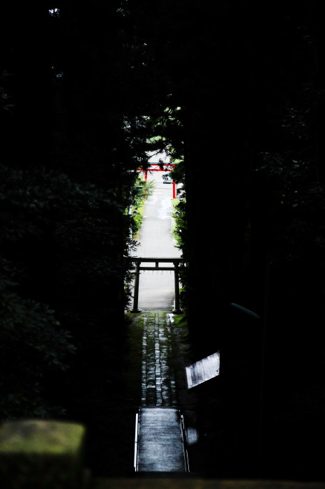 春日山林泉寺　春日神社_c0189533_0583293.jpg