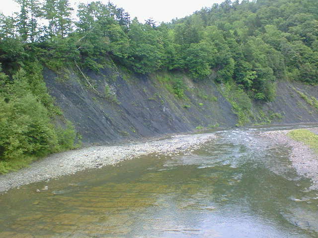 \'09夏　　北海道現地レポ(1日目)_c0062934_19224517.jpg