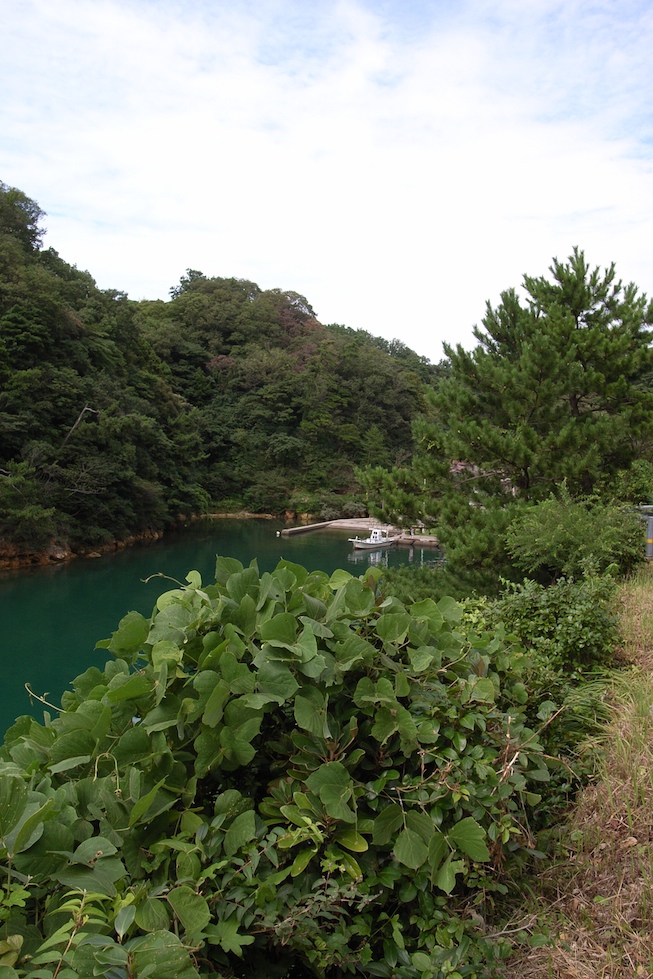 温泉津温泉　〜温泉津・沖泊〜_d0018837_2130249.jpg