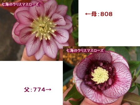 c0025140_11122127.jpg
