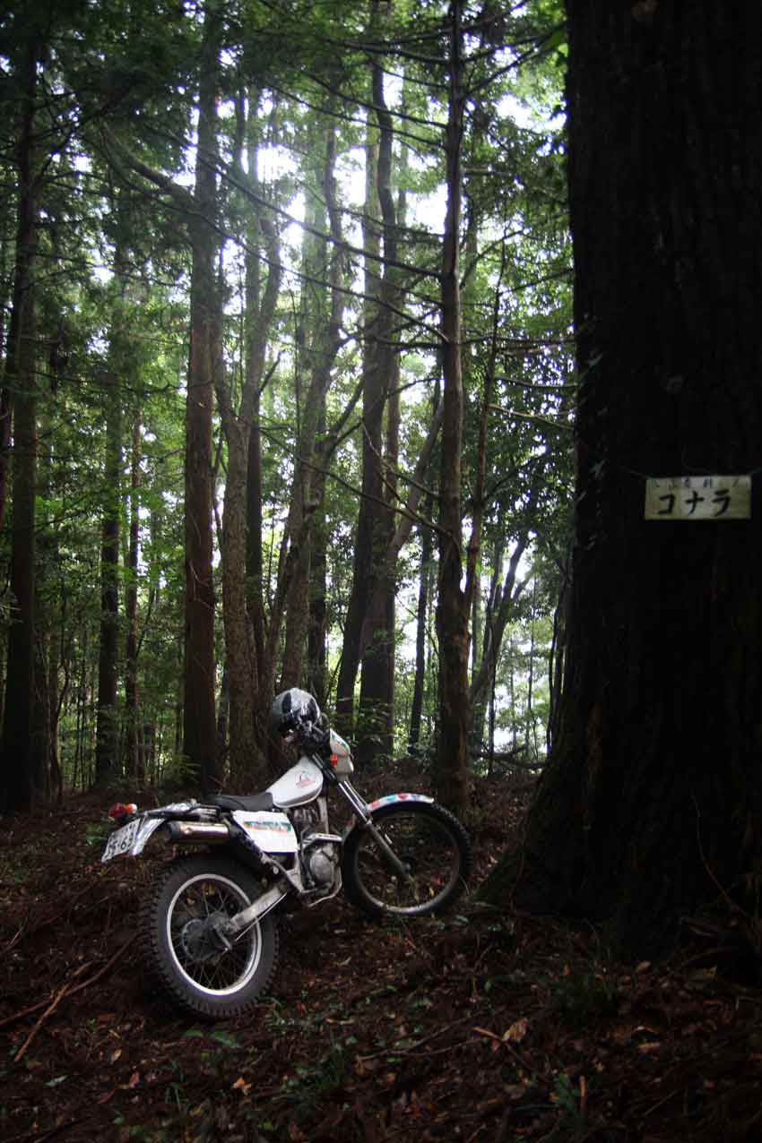 城王山と城王神社♪_d0058941_913840.jpg