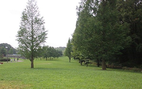 a0089450_20243431.jpg