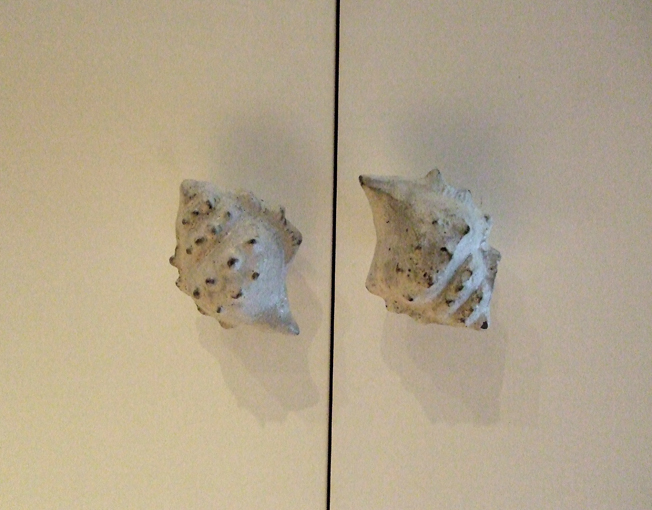 e0060452_80671.jpg