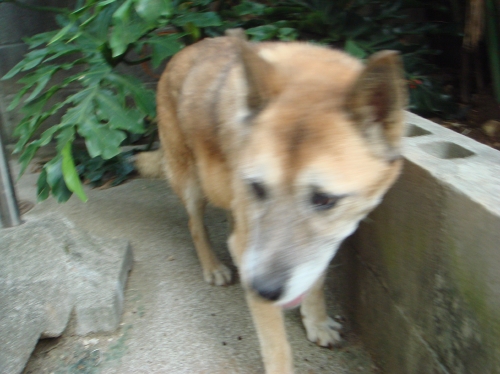 c0108460_2328671.jpg
