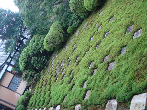 e0125762_16381593.jpg