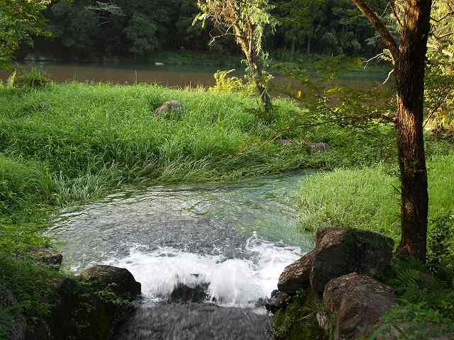b0135573_20442095.jpg