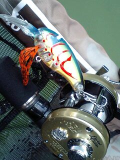 Dゼットン_a0040876_157693.jpg