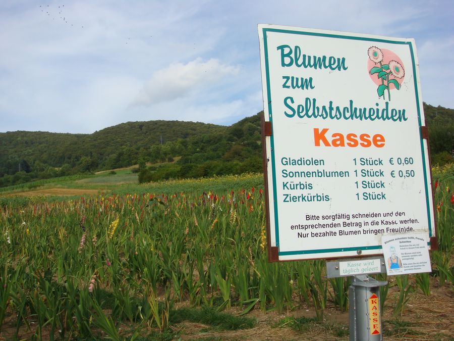 d0116376_23401967.jpg