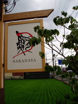 SAKANAYA→アポロ→mizuca_d0066677_8222516.jpg