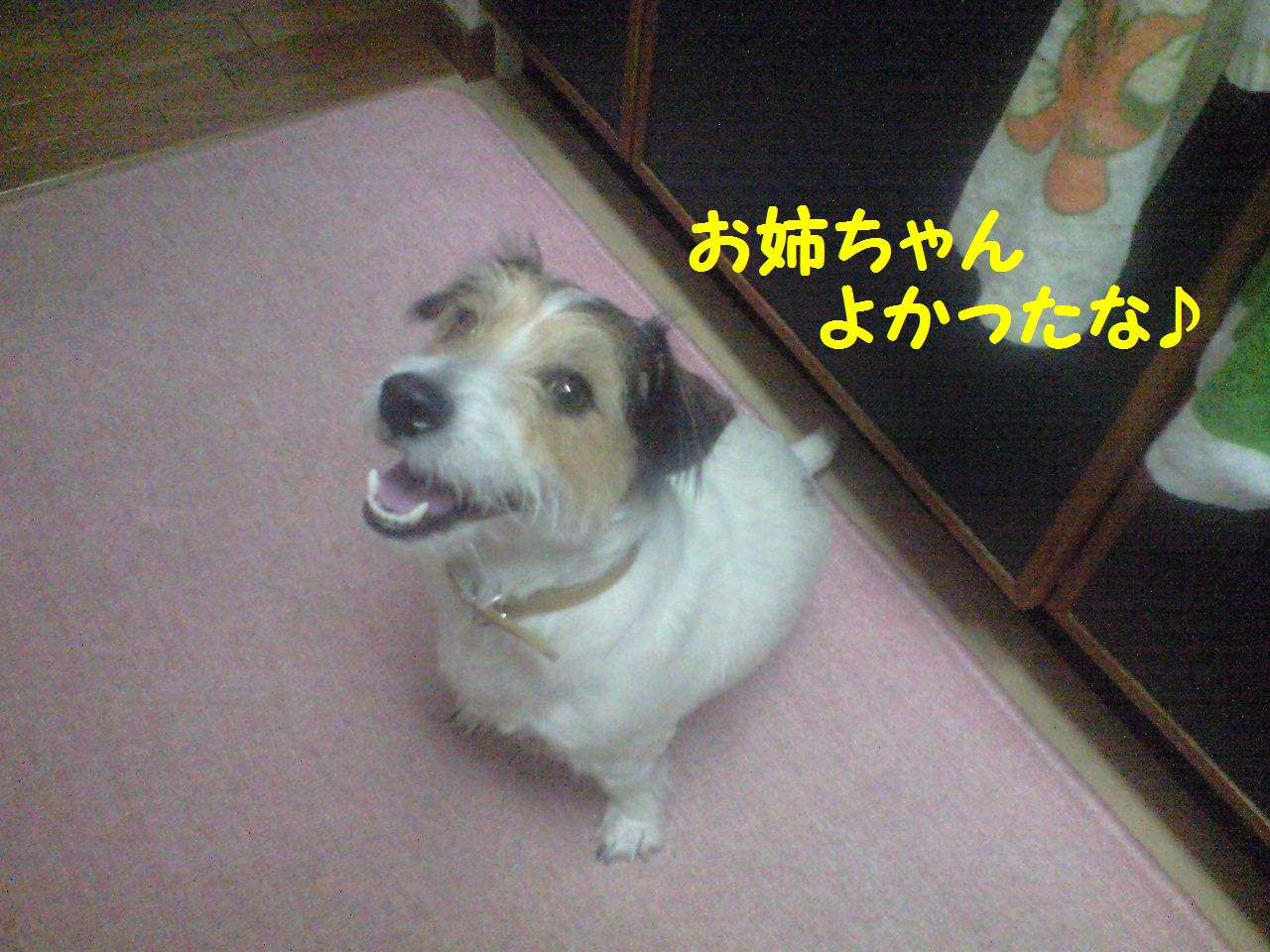 a0118079_0405925.jpg
