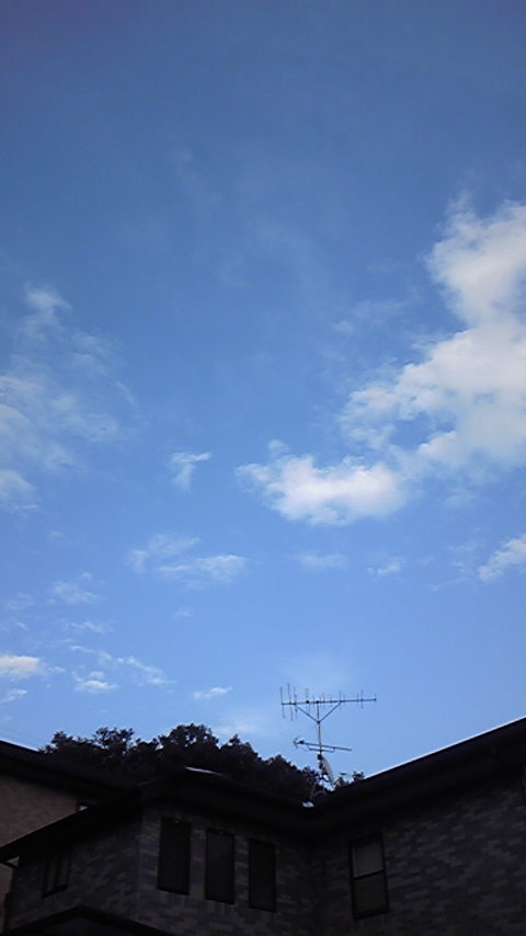 a0095980_7425656.jpg