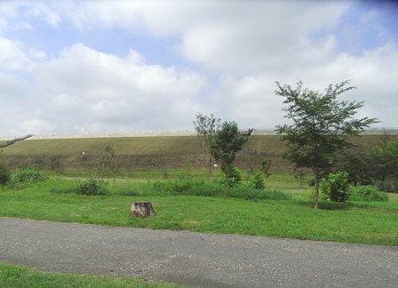 b0168781_9154974.jpg