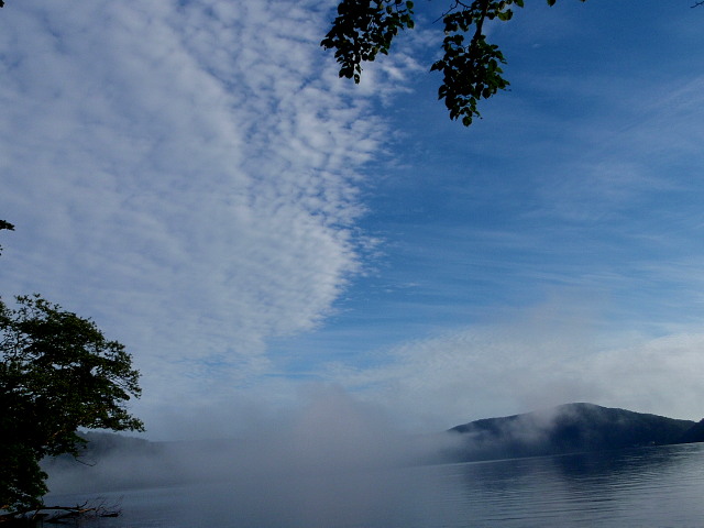a0007388_1622932.jpg