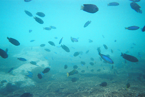 f0201191_12352985.jpg