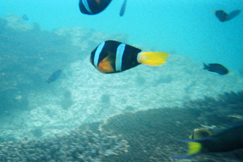 f0201191_12402845.jpg