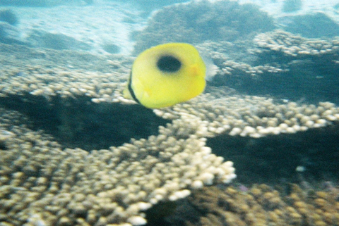 f0201191_12425536.jpg