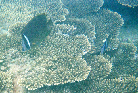 f0201191_12432649.jpg