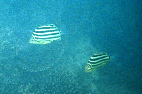 f0201191_12502928.jpg