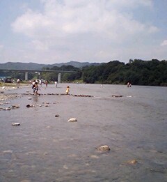 No.702 8月12日(水):幸せに向かって!_b0113993_195237.jpg