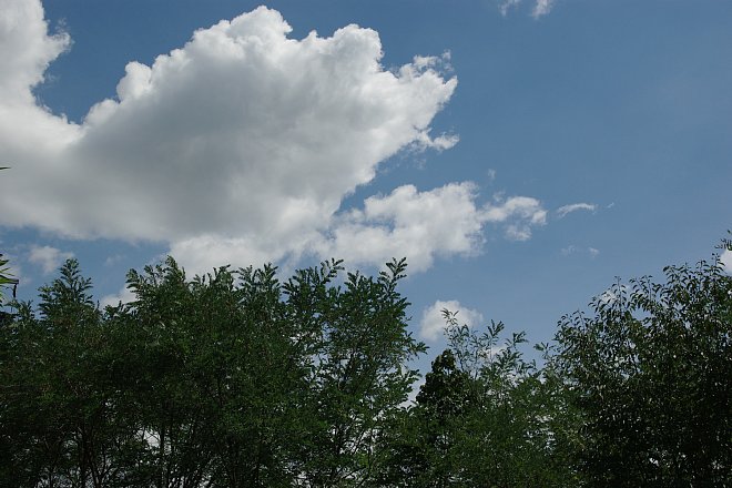 e0190493_171878.jpg