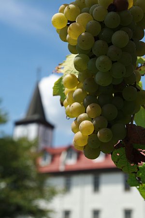 e0190493_22581459.jpg