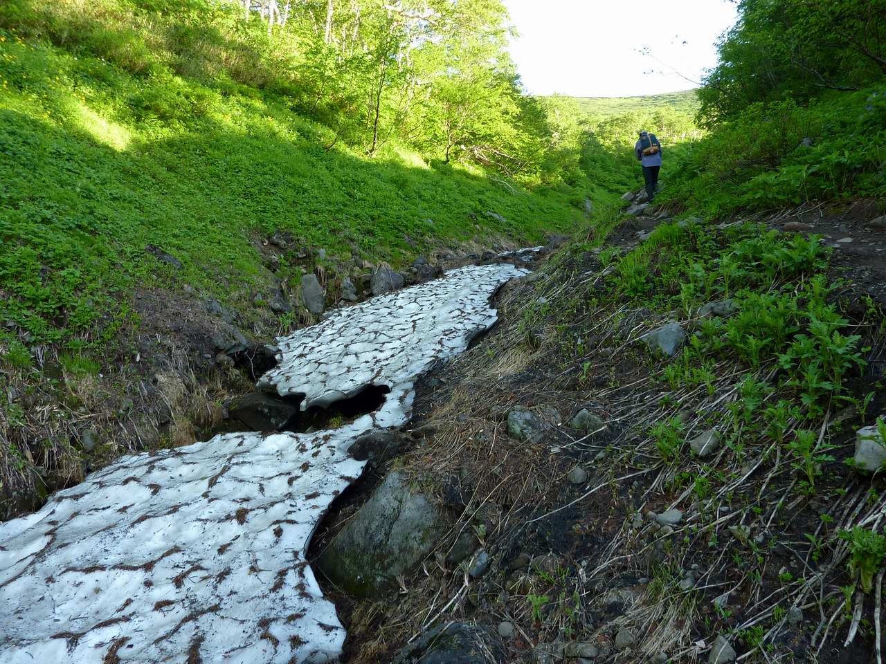 遙かなる山 トムラウシ 山好き的日々 京都北山