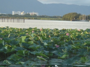 b0128101_1425225.jpg