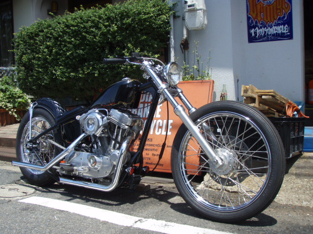 RIGID SPORTS_d0149307_15543671.jpg