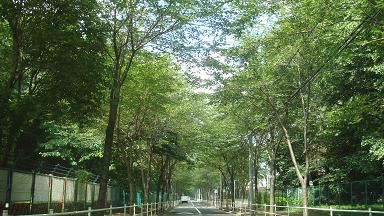 b0059410_2124844.jpg