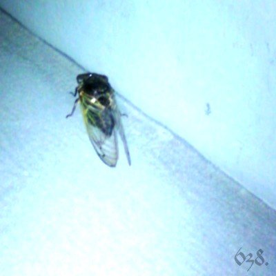 e0101411_21201932.jpg
