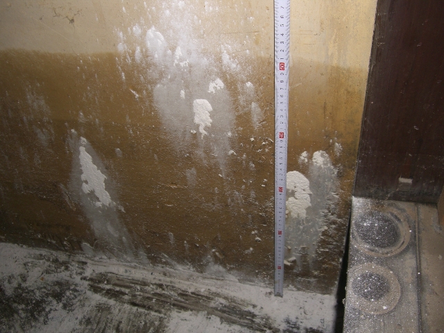 d0146612_21104165.jpg