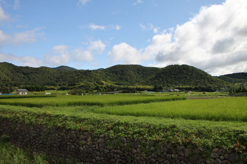 遍照寺-広沢の池_e0048413_21102689.jpg